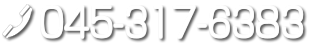 TEL:045-317-6383